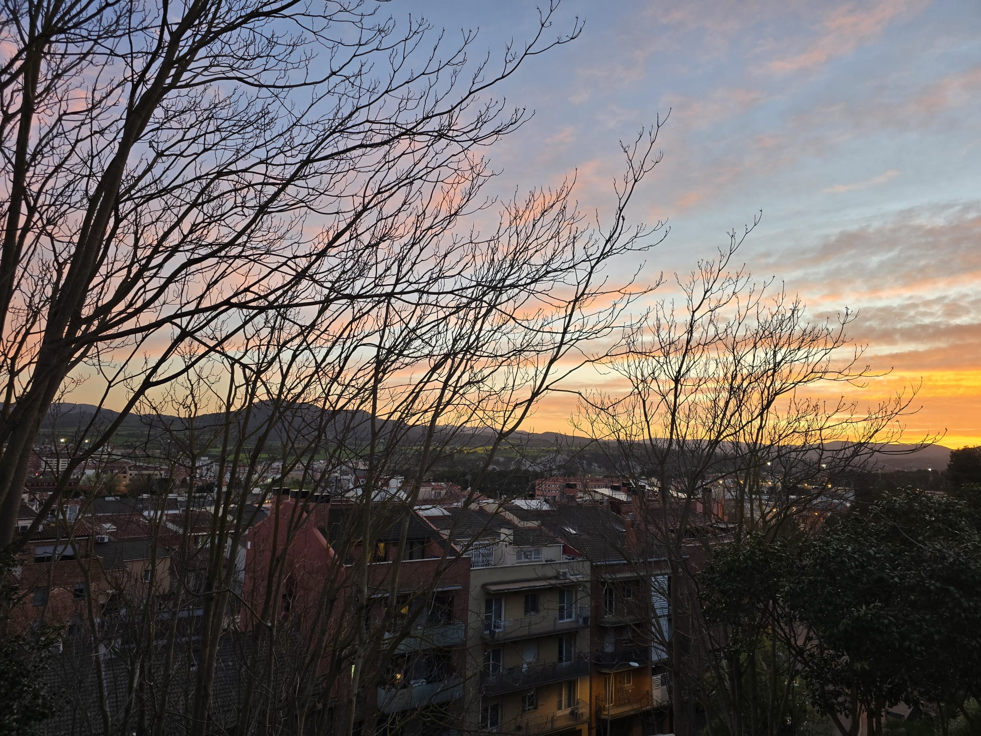 Capvespre entre els arbres a Igualada