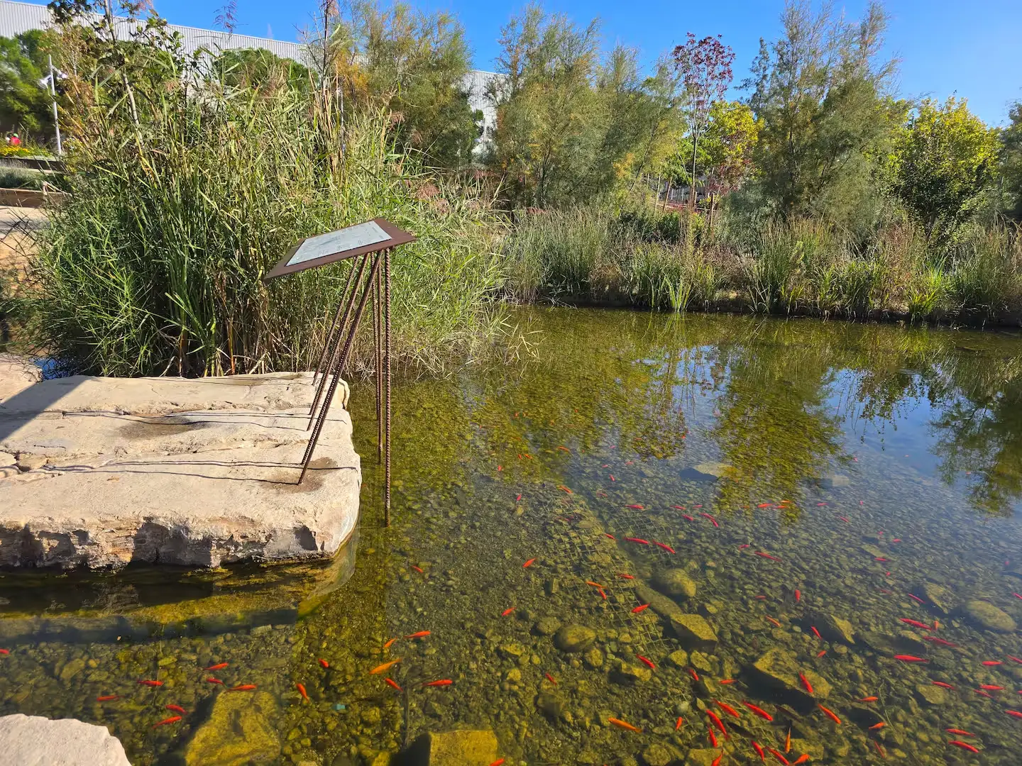 Biollac d'Igualada