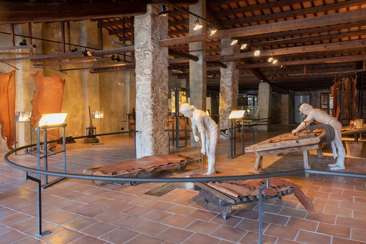Museu de la Pell, Igualada