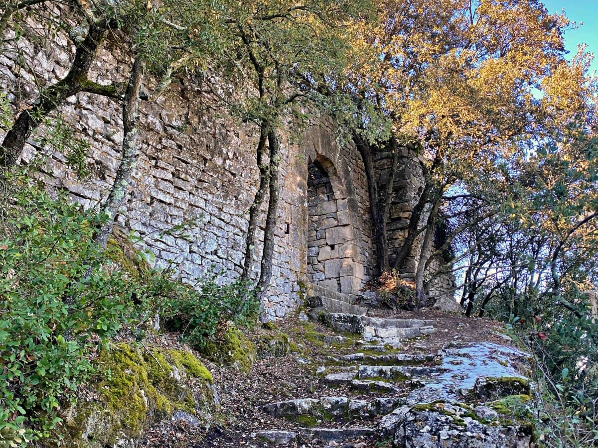 Bosc del Paradís, ruta natural prop d'Igualada